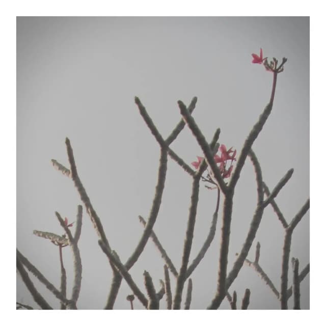 Photography reference